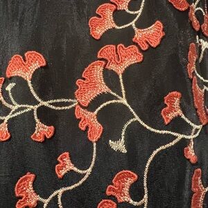 Alex Marie Liesl Black Embroidered Mesh Dress Red Floral Mock Neck Fit & Flare
